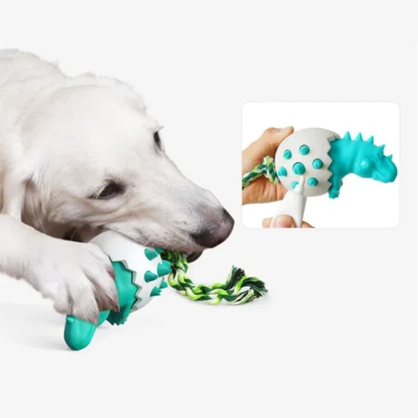 Dinosaurier-Ei, Zähneputzen, Kauspielzeug für Hunde