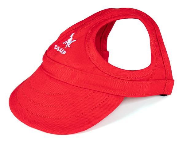 Outdoor-Sonnenschutzhaube für Hunde