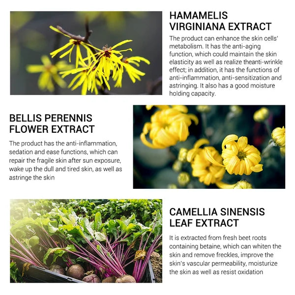 Magischer, perfektionierender Basis-Gesichtsprimer