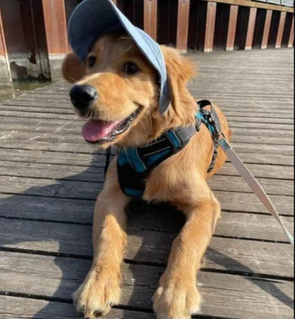 Outdoor-Sonnenschutzhaube für Hunde 