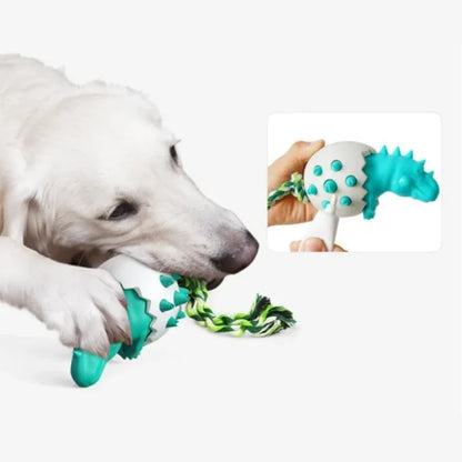 Dinosaurier-Ei, Zähneputzen, Kauspielzeug für Hunde